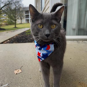 Star Print Pet Bandana – Slip On Dog & Cat Collar Bandana – Handmade Gift – Small to Large Pets