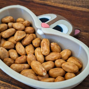 Squirrel Nut Bowl
