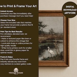 Moody vintage print collection arranged as a curated gallery wall with French country floral artwork, natural history prints, and timeless antique home decor.
Digital download wall art bundle displaying sepia-toned cottagecore and dark academia prints with florals, portraits, birds, and rustic countryside artwork.
Vintage House Art CO printable gallery wall set featuring elegant French country cottage art in soft earthy tones for living room, bedroom, or hallway decor.