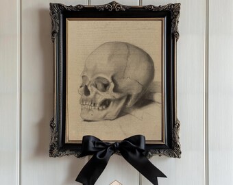 Vintage Skull Anatomy Print: Gothic Macabre Medical Illustration (Digital Download)