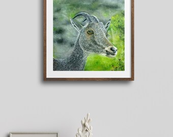 Nilgiri Tahrs, A Mountain Goat /Hand made Oil Painting/ Medium size