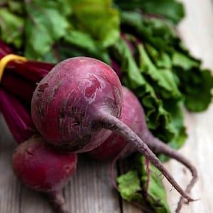 Detroit Beet Seeds