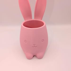 May include: A light pink bunny-shaped planter. The planter has long ears, a round body, and a small opening at the top. The bunny's face features small, round eyes and a cute nose. The planter is made of a smooth material.