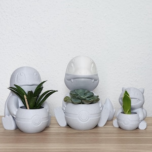 Può includere: Tre fioriere in ceramica grigia a forma di personaggi dei cartoni animati, ognuna con una piccola pianta. Le fioriere sono su una superficie di legno contro un muro bianco. Le piante includono una succulenta e altro fogliame verde.