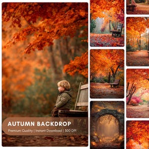 Puede incluir: Un collage de imágenes con temática otoñal. La imagen principal muestra a un niño con una chaqueta verde sentado en un banco de madera en un parque, rodeado de hojas naranjas. El texto en la parte inferior dice "AUTUMN BACKDROP". Otras imágenes muestran bancos y senderos.