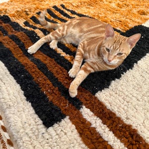 May include: An orange tabby cat rests on a textured rug. The rug features a geometric pattern with stripes in black, brown, and cream colors. The cat is lying down, with its paws extended, and its eyes are open.