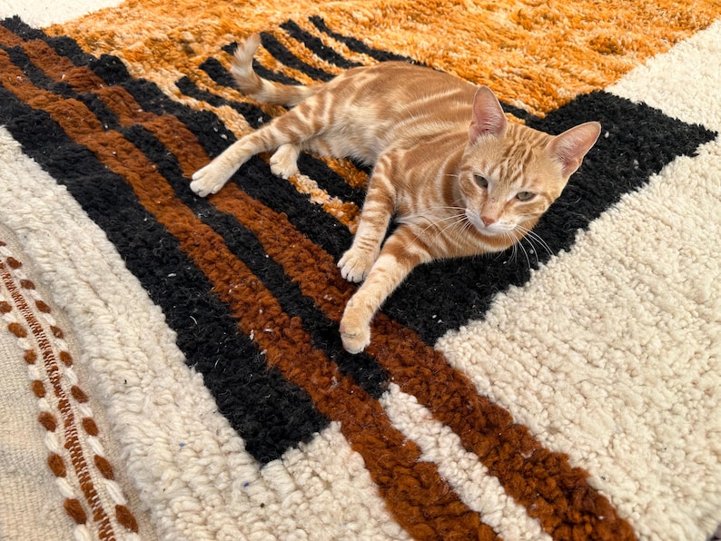 May include: An orange tabby cat rests on a textured rug. The rug features a geometric pattern with stripes in black, brown, and cream colors. The cat is lying down, with its paws extended, and its eyes are open.