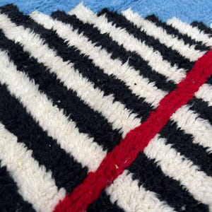 May include: Close-up of a textured rug with a bold black and white striped pattern. A thick red stripe diagonally crosses the rug. The rug has a soft, plush appearance, suggesting a comfortable texture.