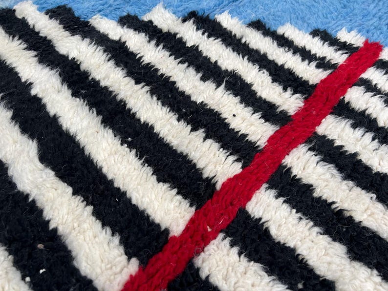May include: Close-up of a textured rug with a bold black and white striped pattern. A thick red stripe diagonally crosses the rug. The rug has a soft, plush appearance, suggesting a comfortable texture.