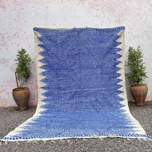 May include: A large, blue and white woven rug with a diamond pattern. The rug has a textured appearance with a fringe along the bottom edge. The blue color dominates the center, while the edges are white. Two potted plants flank the rug.