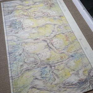 May include: A detailed animation cel featuring a forest scene with trees, foliage, and small, round, white characters. The artwork is in shades of green, yellow, and blue, with black outlines. The text "STUDIO GHIBLI CO., LTD" is visible.