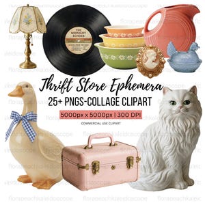May include: A collage of vintage items including a lamp, vinyl record, bowls, pitcher, cameo, hen on a nest, duck with a bow, suitcase, and a cat figurine. The items are in various colors, including pink, yellow, and blue.