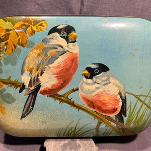 Adorable Blue Bird Toffee Tin