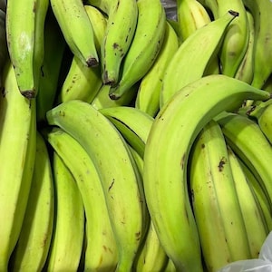 Green Plantain, Unriped Plantain, Plantain.