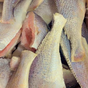 May include: A close-up shot of several raw fish fillets. The fish have a light-colored, textured skin with a hint of blue and pink flesh visible. The fillets are arranged in a pile, suggesting a seafood market or preparation.