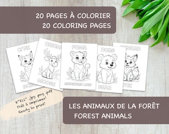 Malvorlagen, zum Ausdrucken, Malvorlagen zum Ausdrucken, Tiermalvorlagen, Tiere, Malvorlagen für Kinder, zweisprachig, Malvorlagen zum Lernen, Malvorlagen mit Motiven aus der Natur