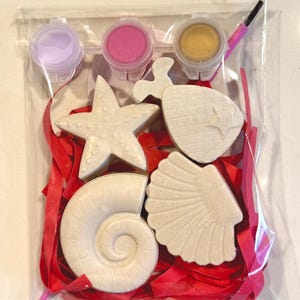 Sea Shell Party Favor Clay Kit – DIY Paintable Shell with Paint & Brush – Beach Birthday Favor, Mermaid Party Gift, Ocean Theme Activity