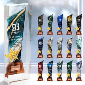 Personalized Award Plaque Trophy Award, Custom Corporate Trophy Award, Company Anniversary Employee Awards Ceremony, Recognition Trophy