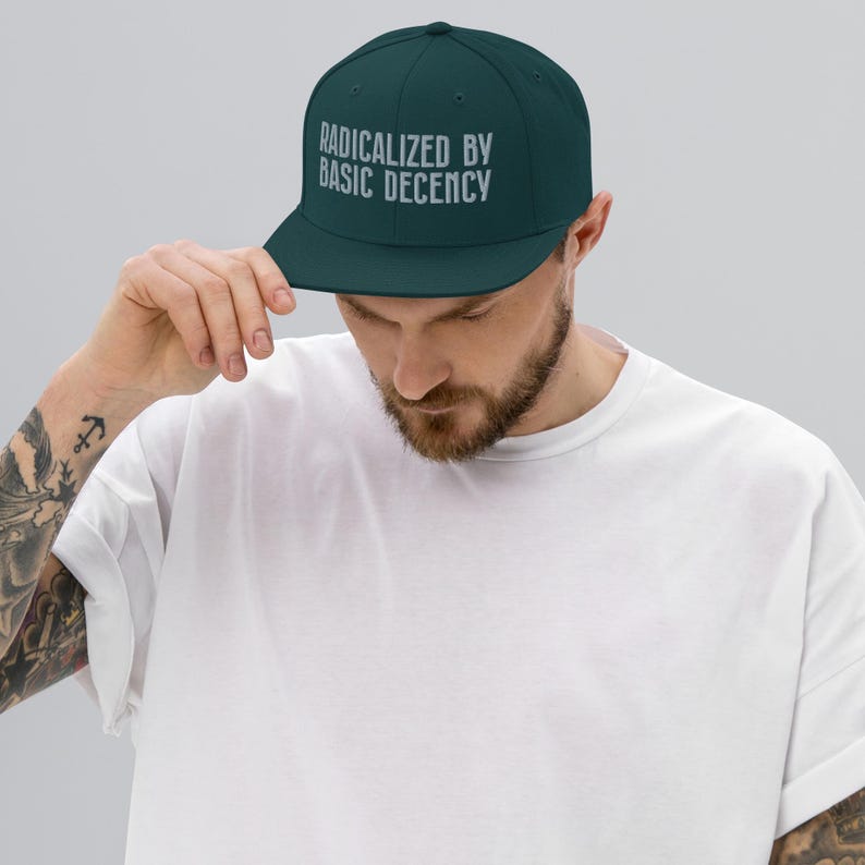 Snapback Hat Radicalized By Basic Decency Grey
