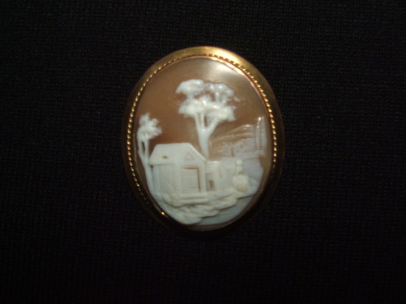 AntiqueRebecca at the Well Cameo Brooch