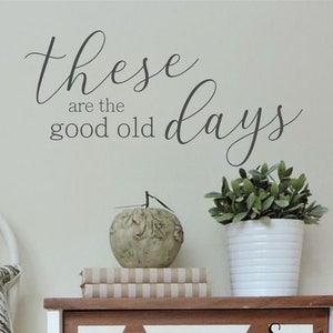 These are the good old days - Vinyl Wall Decal-Family Quotes- Farmhouse Family Quotes-