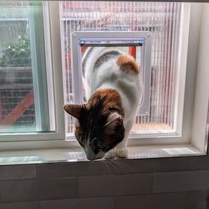 May include: A tri-colored cat with white, brown, and black fur is looking down at a pet door installed in a window. The cat is standing on a white tiled surface.