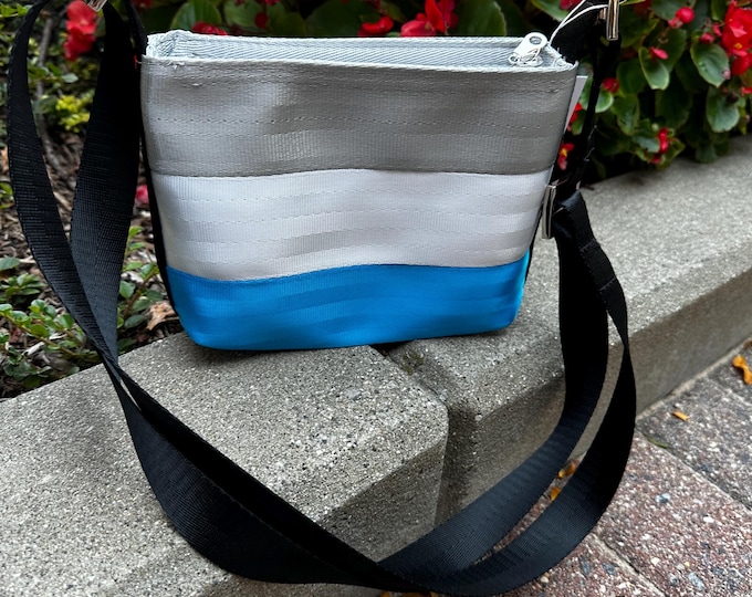 Gray, White, Turquoise, Black Small Baguette Seat Belt Bag
