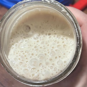Sourdough Dehydrated starter