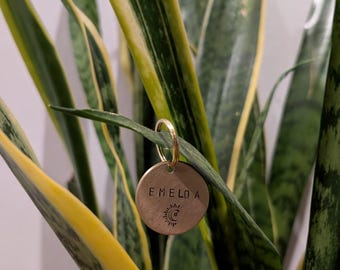 ¡Hasta la luna y de vuelta! Placas de identificación de latón personalizadas para perros, placas de identificación para perros a medida, placa de identificación para mascotas.