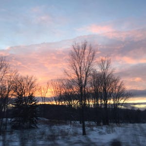 Peut inclure: Une vue panoramique d'un paysage hivernal avec un ciel de coucher de soleil rose et orange. Des silhouettes d'arbres bordent l'horizon, la neige recouvrant le sol.