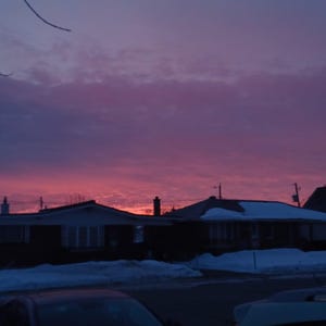 Peut inclure: Vue d'un quartier résidentiel au crépuscule avec un ciel rose et violet. Les maisons sont en silhouette contre le ciel, et il y a des arbres au premier plan.