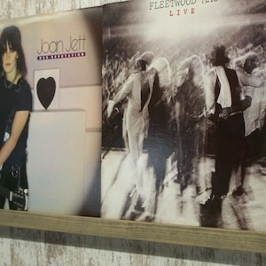 Double Vinyl Record Shelf, Record ledge, Album Display Shelf, Stained Classic Gray.