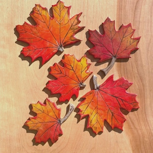 Bladtegel - suikeresdoorn - 5 bladeren - rood