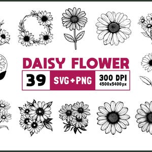 Daisy Flower SVG Bundle: Clipart, Silhouette, Vector Cut Files