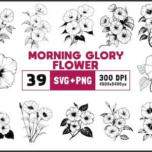 Morning Glory Flower SVG Bundle: Floral Clipart, Cut Files (PNG, Vector, Silhouette)