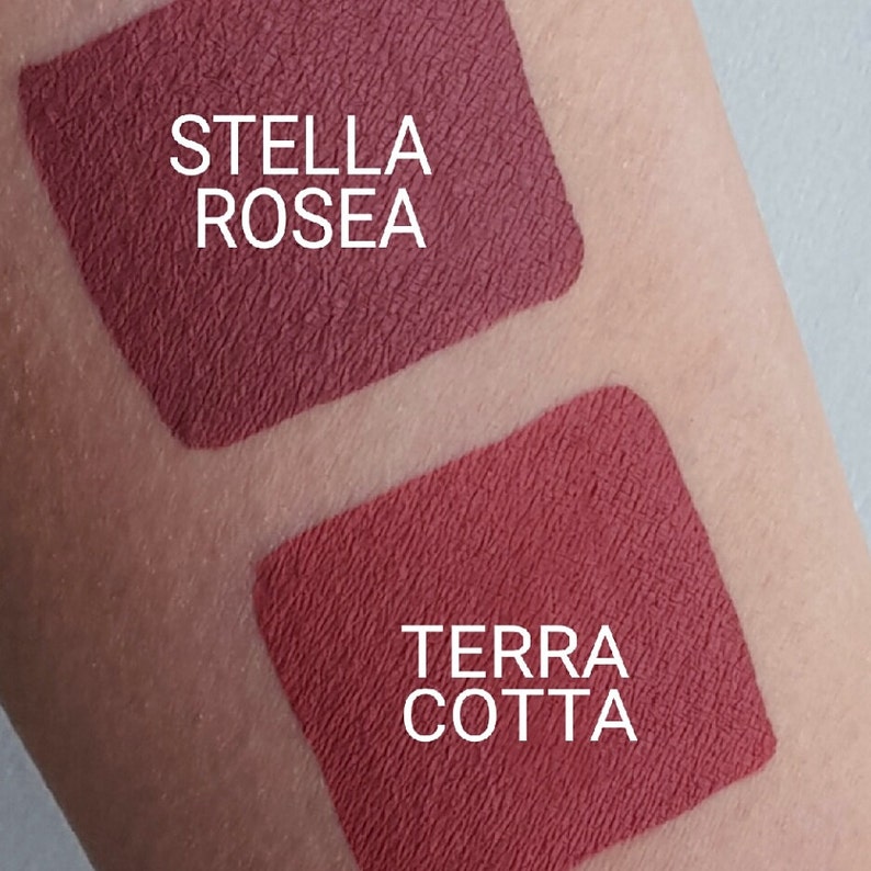 Terra Cotta Liquid Lipstick. Matte Warm Earthy Lipstick. Etsy
