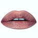 see more listings in the Metallic Liquid Lipstick section