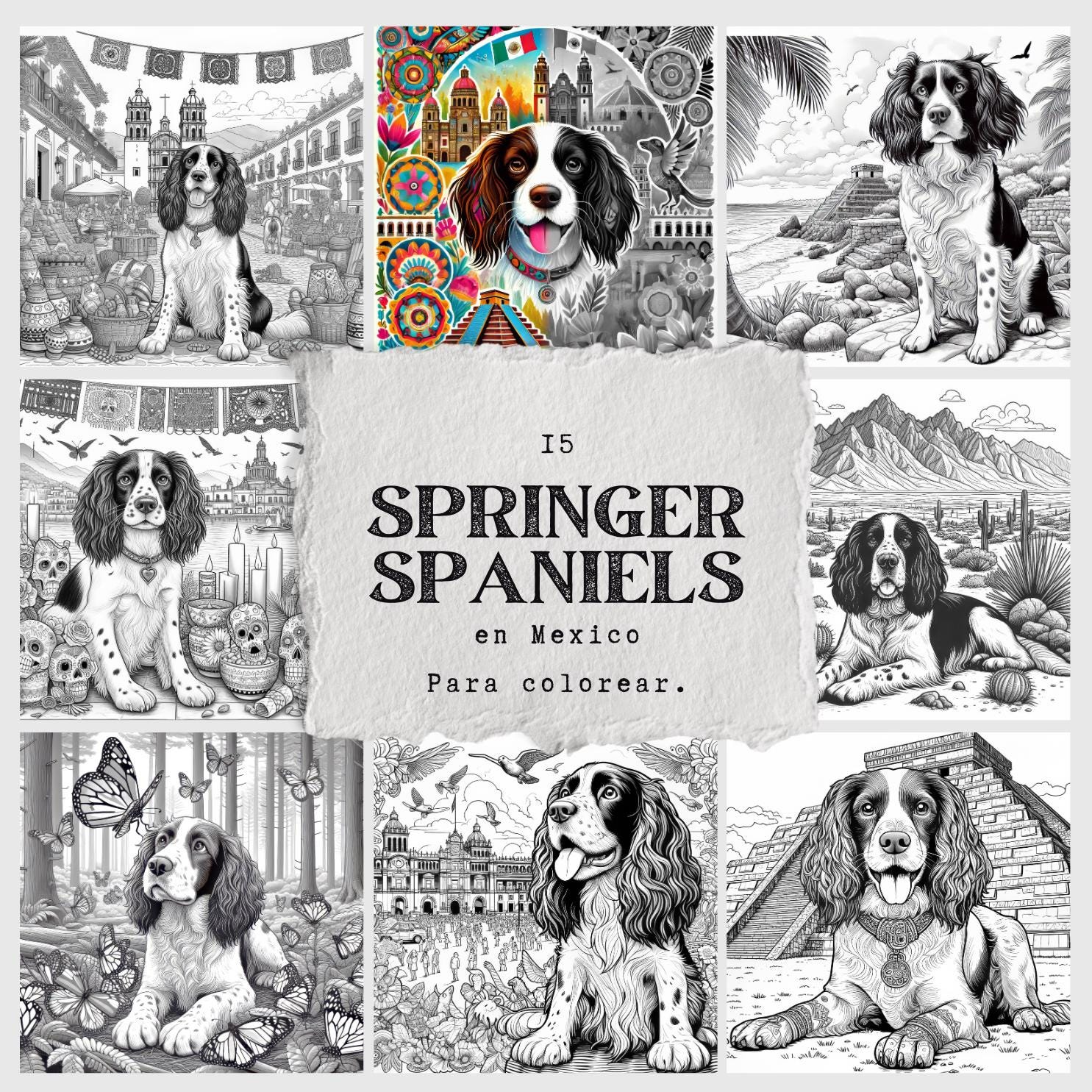 Springer Spaniel Coloring Pages, Dog Coloring Book PDF, 15 Printable ...