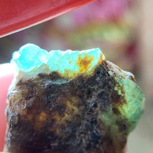 Espécime de Esmeralda Chitral de 65,00 ct – Um Cristal Natural Imponente da Esmeralda do Paquistão imagem 4