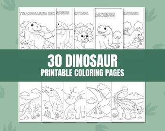 May include: 30 black and white dinosaur coloring pages. The pages feature different dinosaurs, including Tyrannosaurus Rex, Stegosaurus, and Triceratops.  The pages are ready to be printed and colored.