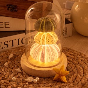 DIY Sea Urchin Shell Night Light Kit - Vintage Ocean Lamp, Handmade Gift Sea Urchin Lamp DIY Kit – Handmade Glowing Ocean Decor Gift