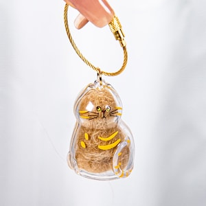 Transparent Cat Fur Storage Keychain Gashapon - Cute Pet Keepsake Charm Pet Fur Keepsake Charm Gift for Orange Cat