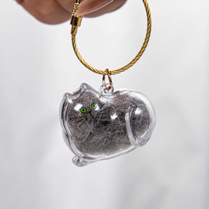 Transparent Cat Fur Storage Keychain Gashapon - Cute Pet Keepsake Charm Pet Fur Keepsake Charm Gift for Universal Edition cat