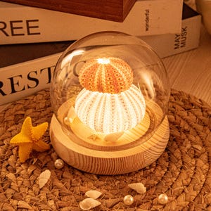 DIY Sea Urchin Shell Night Light Kit - Vintage Ocean Lamp, Handmade GiftSea Urchin Dome Night Light – DIY Shell Lamp Kit with Glass Cover