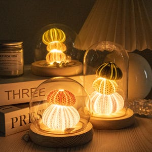 Sea Urchin Lamp Set – Fantasy DIY Night Light Kit Bundle, Ocean Magic Vintage Ocean Lamp DIY Kit - Sea Urchin Shell Night Light  Gift