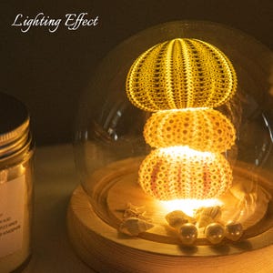 DIY Sea Urchin Shell Night Light Kit - Vintage Ocean Lamp, Handmade GiftSea Urchin Dome Night Light – DIY Shell Lamp Kit with Glass Cover