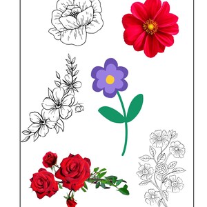 Blooms of Serenity: un libro da colorare floreale per il relax e la creatività