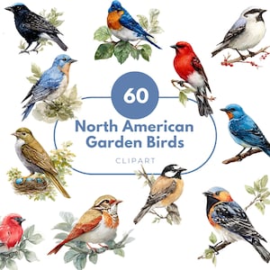 60 North American Garden Birds Watercolor Clipart, Songbird PNG Bundle, Backyard Bird Digital Download. Sublimation, Invitations, Stickers