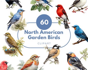 60 North American Garden Birds Watercolor Clipart, Songbird PNG Bundle, Backyard Bird Digital Download. Sublimation, Invitations, Stickers
