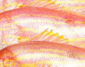 Pink Snapper Fish Photography Print, Seafood Wall Art, Kitchen Decor, Restaurant Poster, Coastal Food Print
